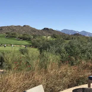 a view of a golf course