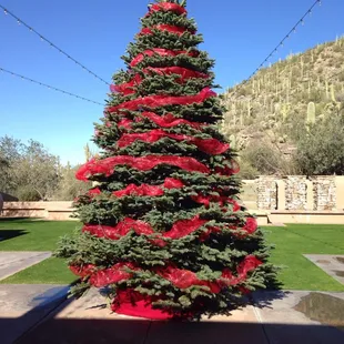 Christmas Season at the Gallery for brunch