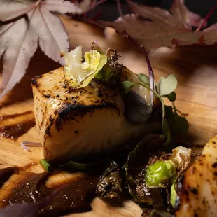 Black Cod