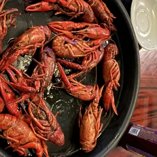 Large crawfish