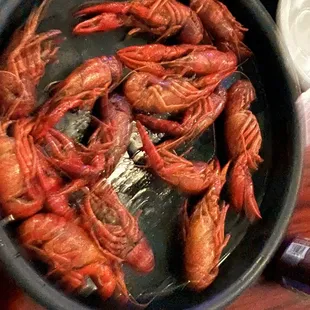 Large 1 lb crawfish