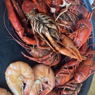 Boiled Crawfish