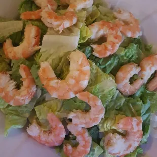Greek Shrimp Salad