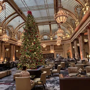 ramen and noodles, interior