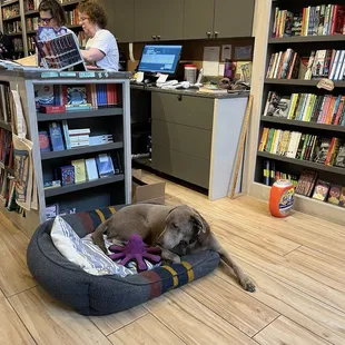 You can pet the dog he's also on their shopping bags!