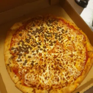 Half cheese half sausage pizza