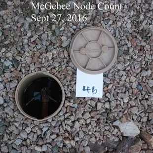 An incredible 46 of these "bucket" nodes in my small, subdivision plot!  20 are perpetually wet or flooded!  43% failure rate!!!
