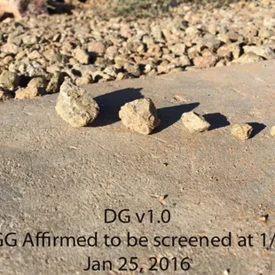 TGG said that the first application of DG was indeed properly screened - until I sent Trevor (owner) this picture.