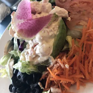 Stuffed Avocado Salad