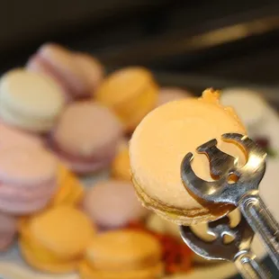 Assorted Macaroons