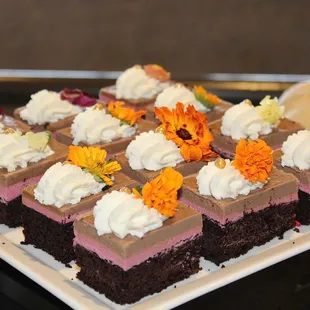 Chocolate &amp; Raspberry Mousse Cake