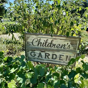 05.12.24 Children's Garden