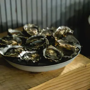 Freshly Shucked Oysters