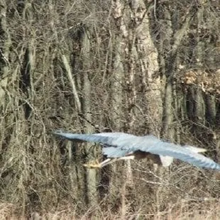 Bring your binoculars and enjoy the wildlife