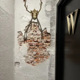 a deer head mounted on a wall