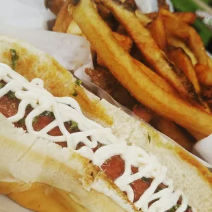 a hot dog and french fries