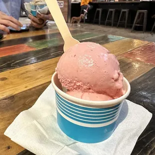 One scoop of Strawberry Swirl in a cup
