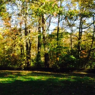 View from the porch. Lovely!