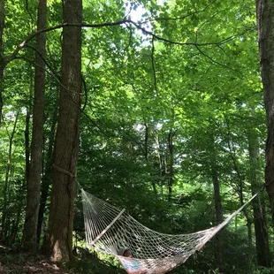 Gorgeous view of the green and lush canopy from the hammock. My son adored the relaxing sway and the sounds of twittering birds.