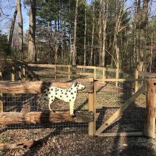 Dog Park for your 4 footed family members.