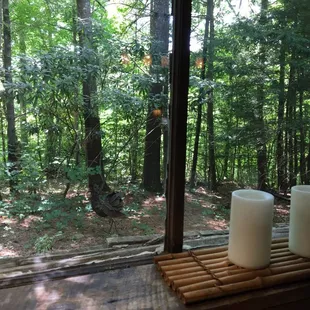 View from the kitchen windows