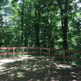 Dog run is shaded and under a canopy of trees - such a nice addition!