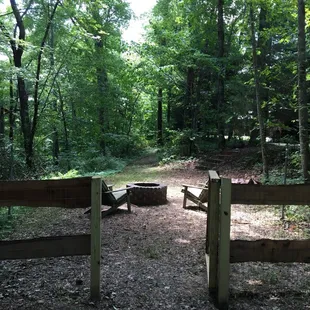 Pic of the fire pit from the dog run