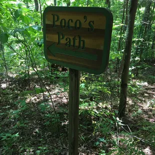 Path marker for the mile long hiking path around the property