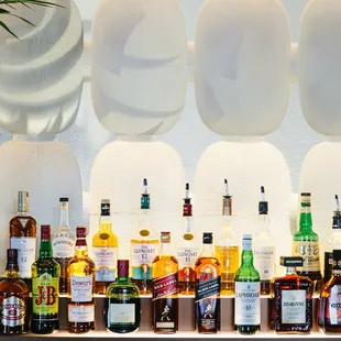 a variety of alcohol bottles lined up on a bar