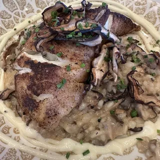 Umami-Dusted Halibut