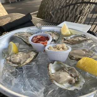 Oysters