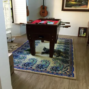 Love this rug. Thanks Girls