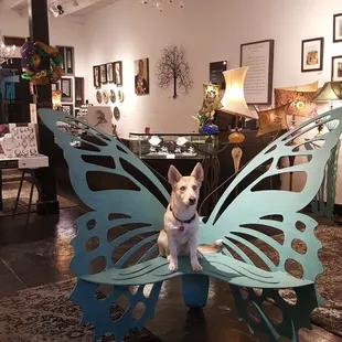 Come by and visit our shop dog, Sasha! She routinely travels between our Royal St. &amp; Chartres St. gallery locations.