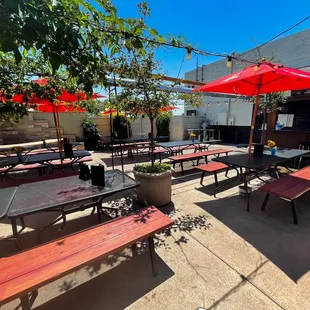 sushi and sashimi, outside