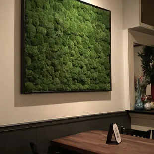 Really cool live moss art piece.