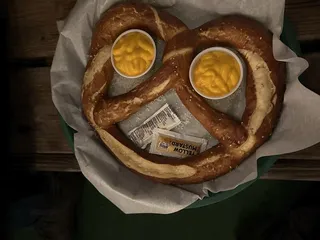 The Salty Dolphin