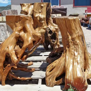 Petrified wood is cool.