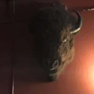 Yeah, it's that kind of place!