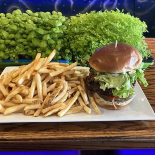 burgers, burger, food