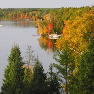 a lake surrounded by trees