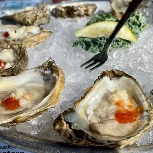 Dozen raw happy hour oysters dressed my way