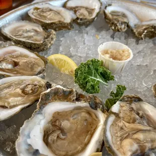 Happy hour oysters