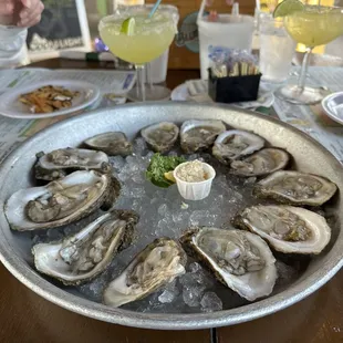Fresh Shucked Oysters