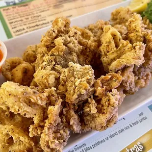 Fried Calamari