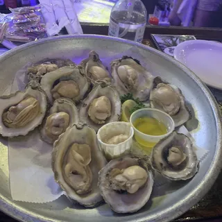 Fresh Shucked Oysters