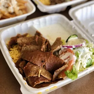 Gyro Plate