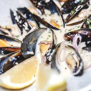 Black Mussels.