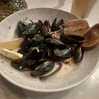 Black Mussels