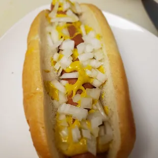 a hot dog with onions and mustard