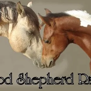 Good Shepherd Ranch logo